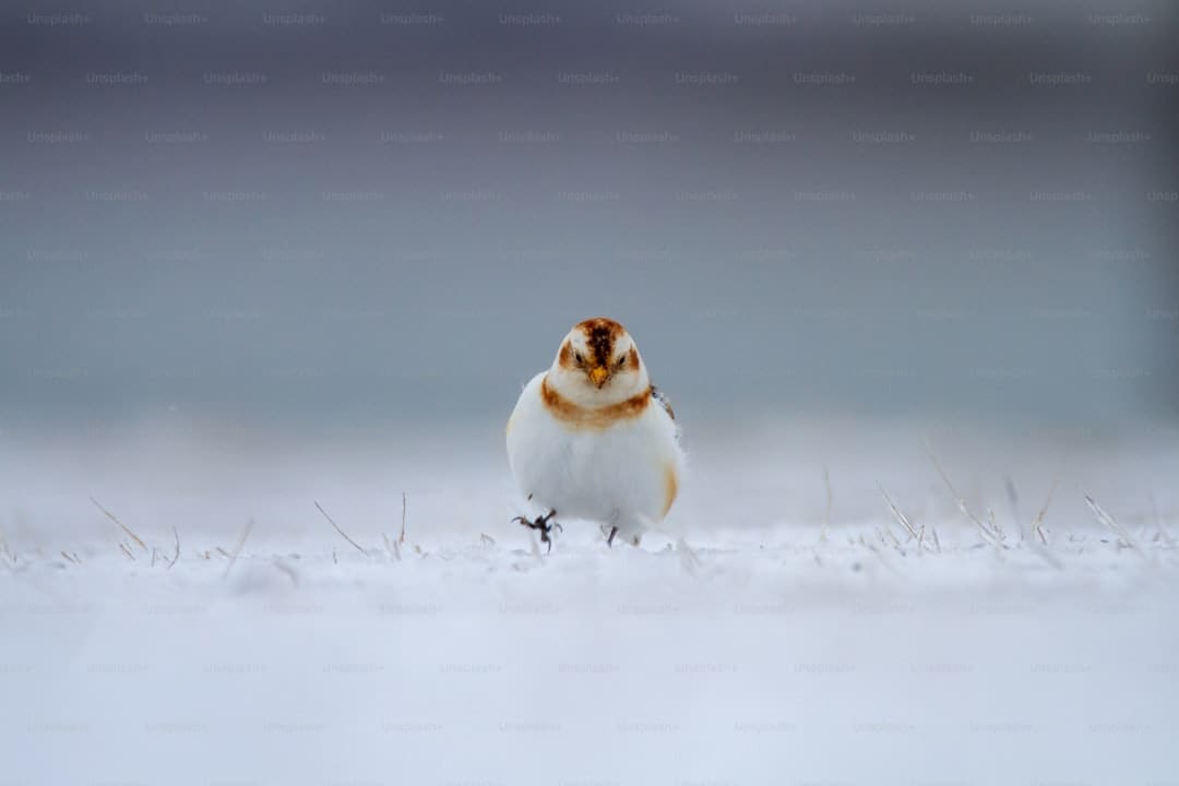 http://news.yule.com.cn/uploadfile/2025/0718/20250718042826379.jpg
